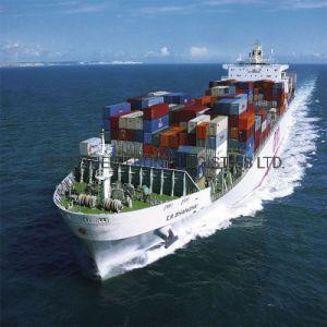 China                                  Fba Amazon Warehouse Sea Freight From Shenzhen China to USA United States              on sale 